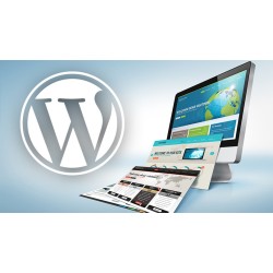 Wordpress Business Web Development